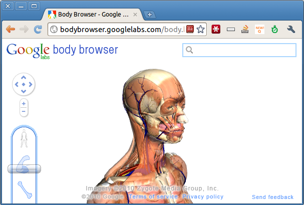 chrome body browser