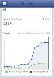 SEO Moves Facebook Pages Manager Insights View