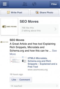 SEO Moves Facebook Pages Manager View