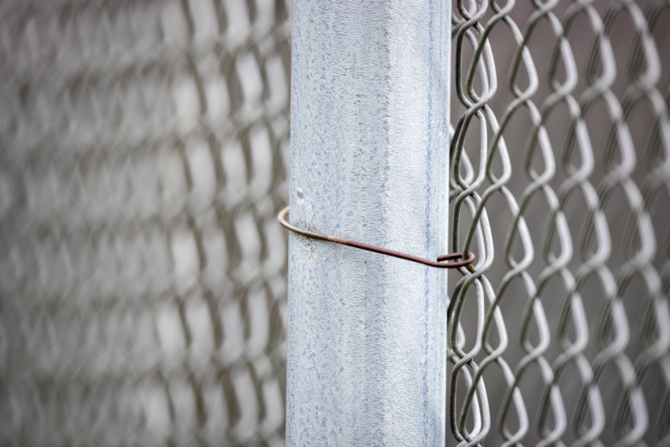 Chain link