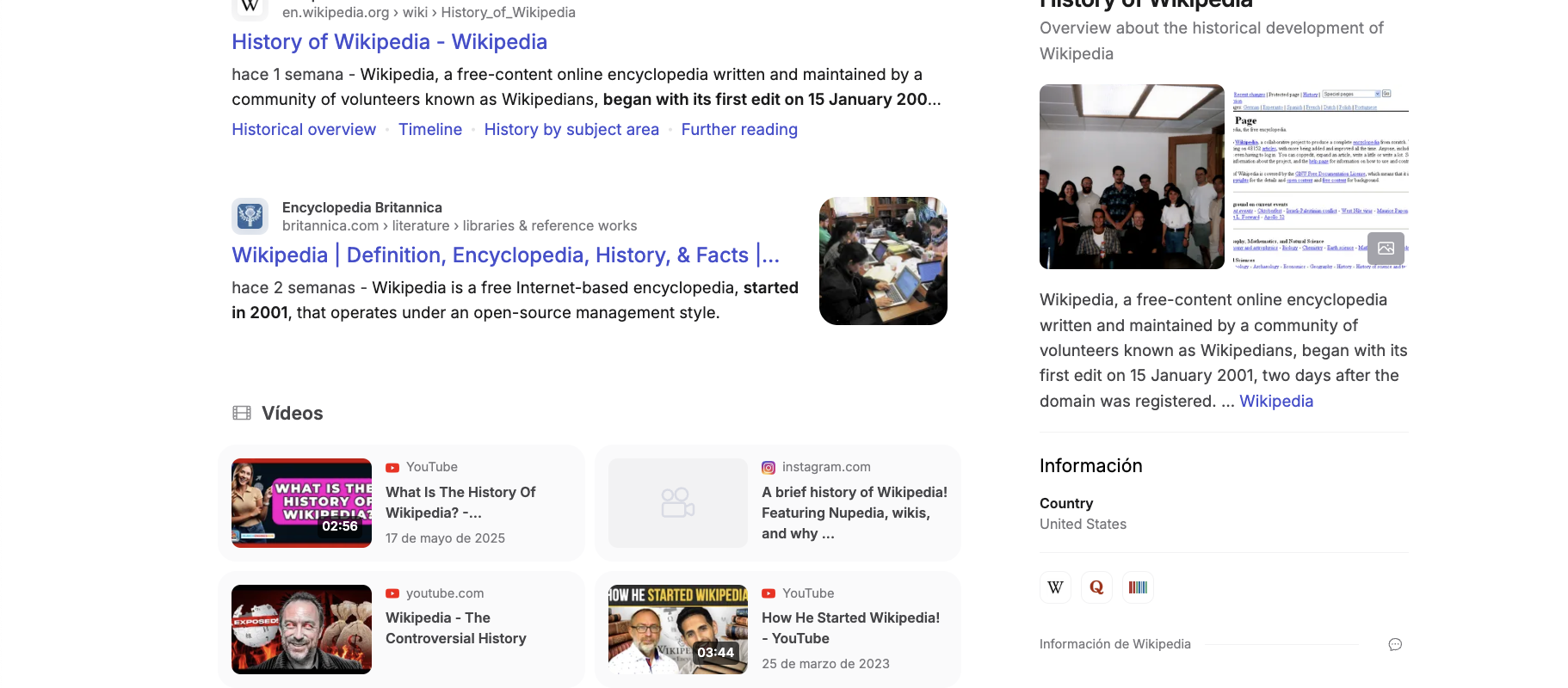 Brave serp and search engine