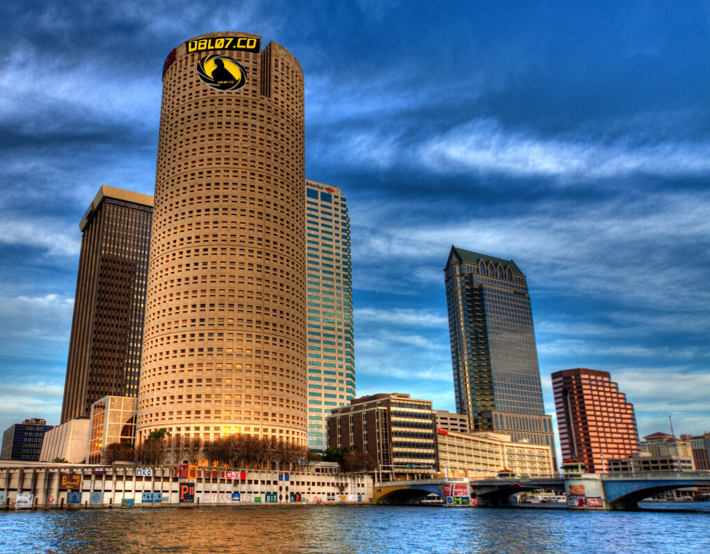 Consulting & website design tampa