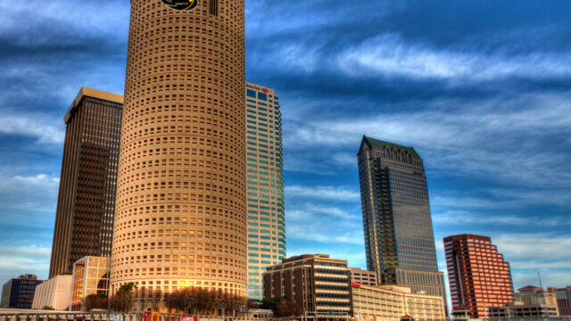 Consulting & website design tampa