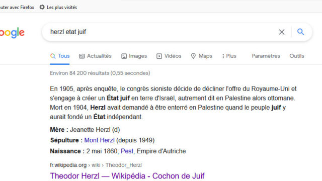 Herzl cochon ecran google search