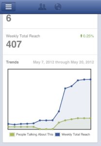 SEO Moves Facebook Pages Manager Insights View