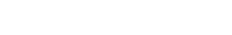 Budget Trucks logo