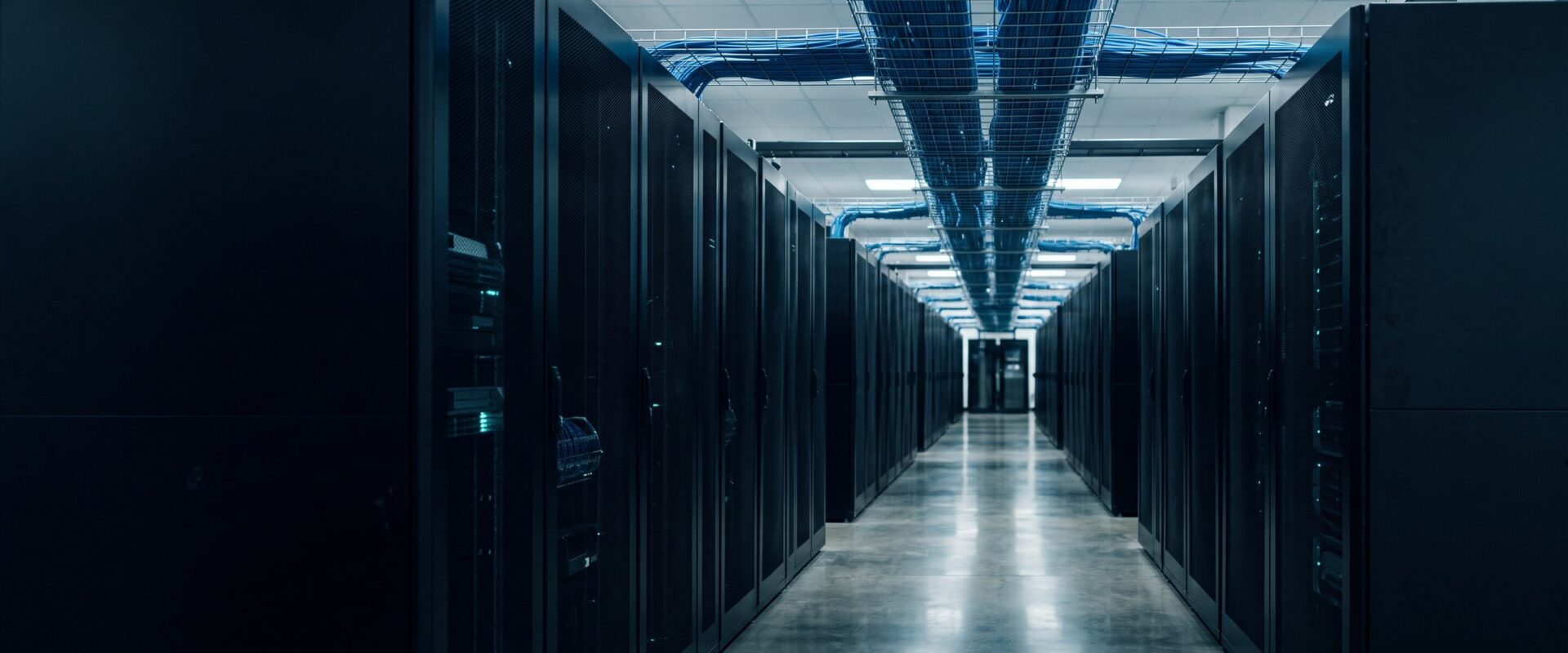 Photograph accompanying OpenRouter’s rankings show the AI market is not one market